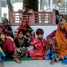 Visiting the World Wide Fund for Nature in India